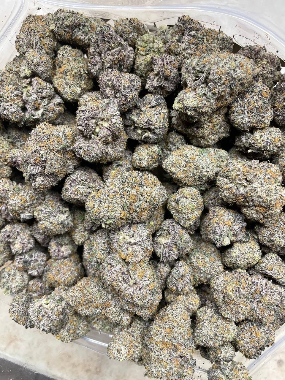 pina colada strain pina colada strain