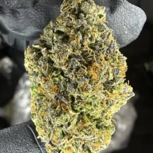 import placeholder for 16374 import placeholder for 16374