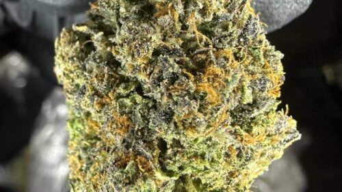 import placeholder for 16374