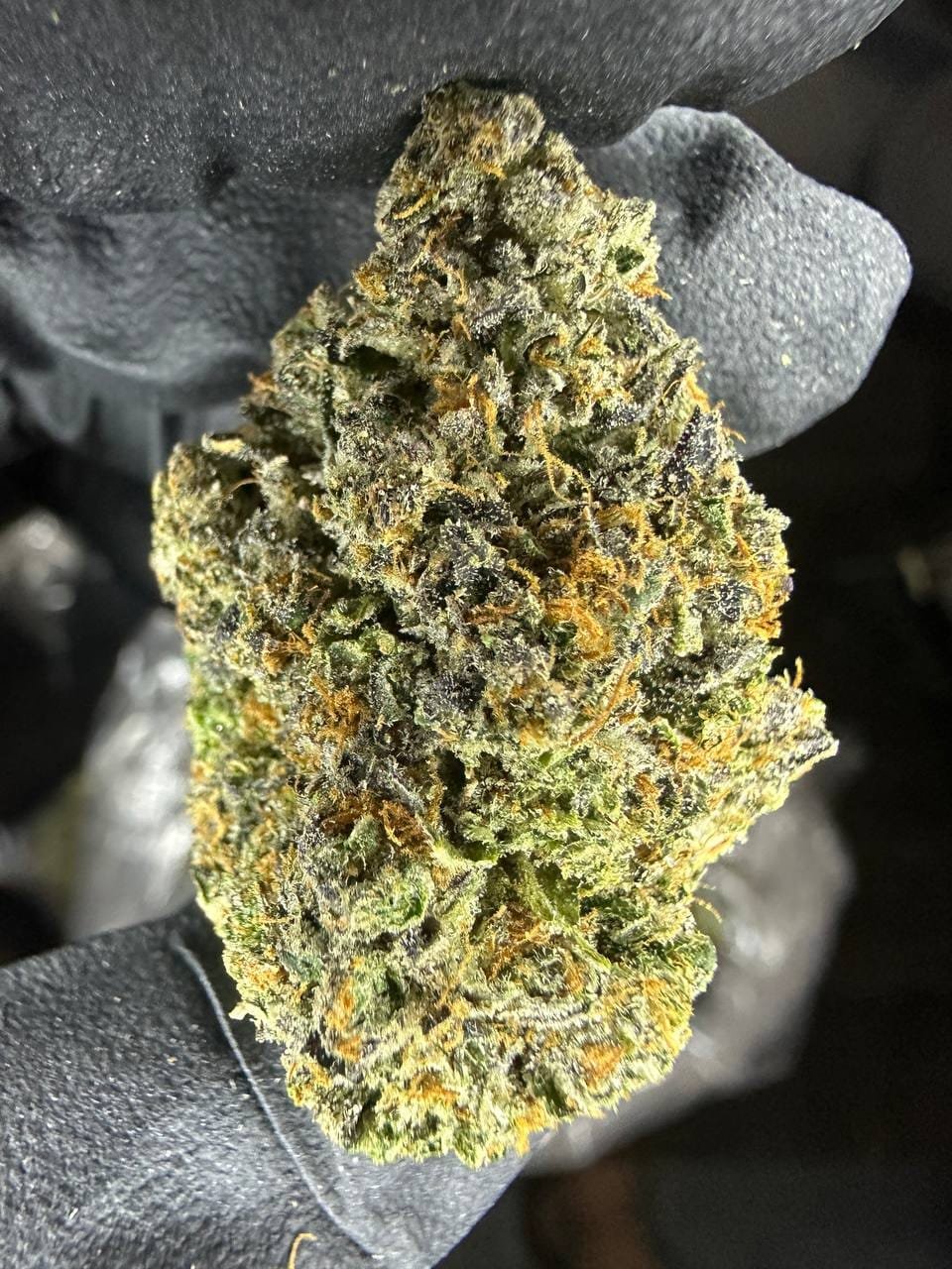 import placeholder for 16374 import placeholder for 16374