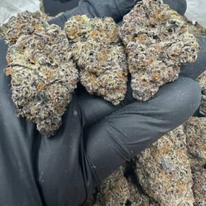 import placeholder for 16291