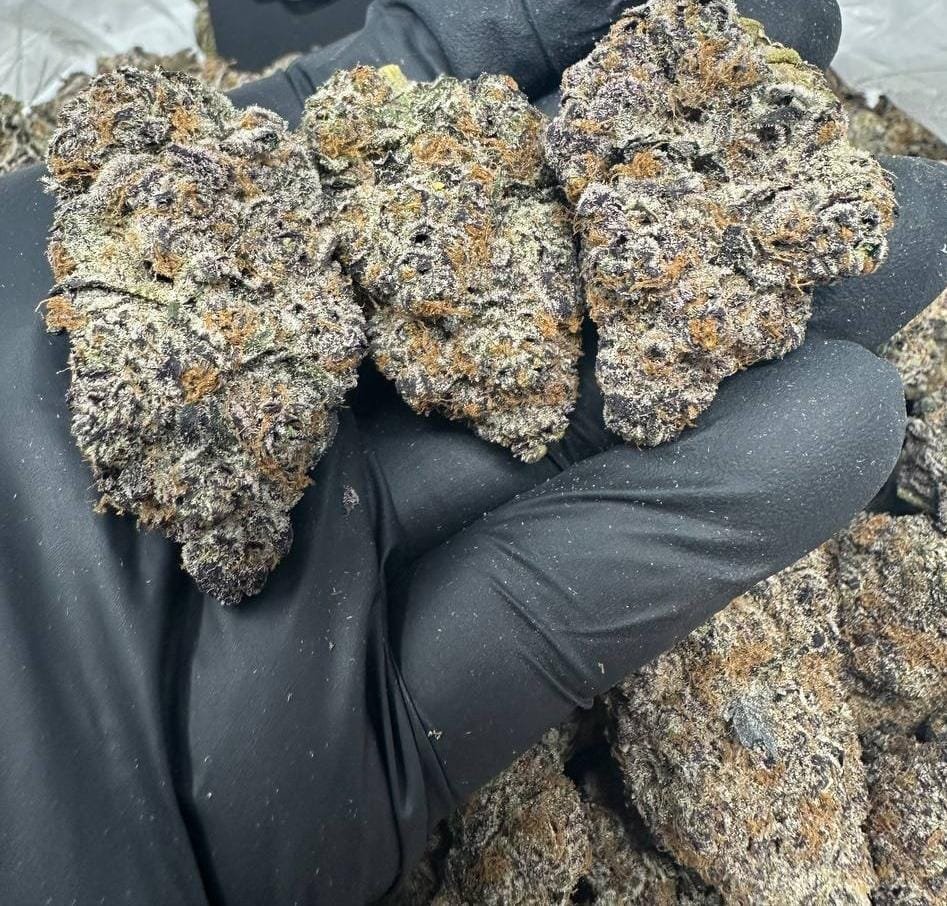 import placeholder for 16291