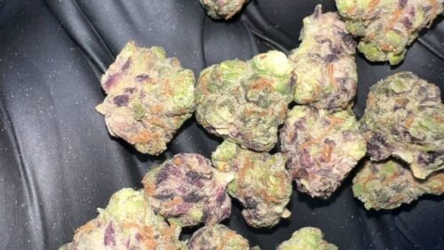 import placeholder for 16254 import placeholder for 16254