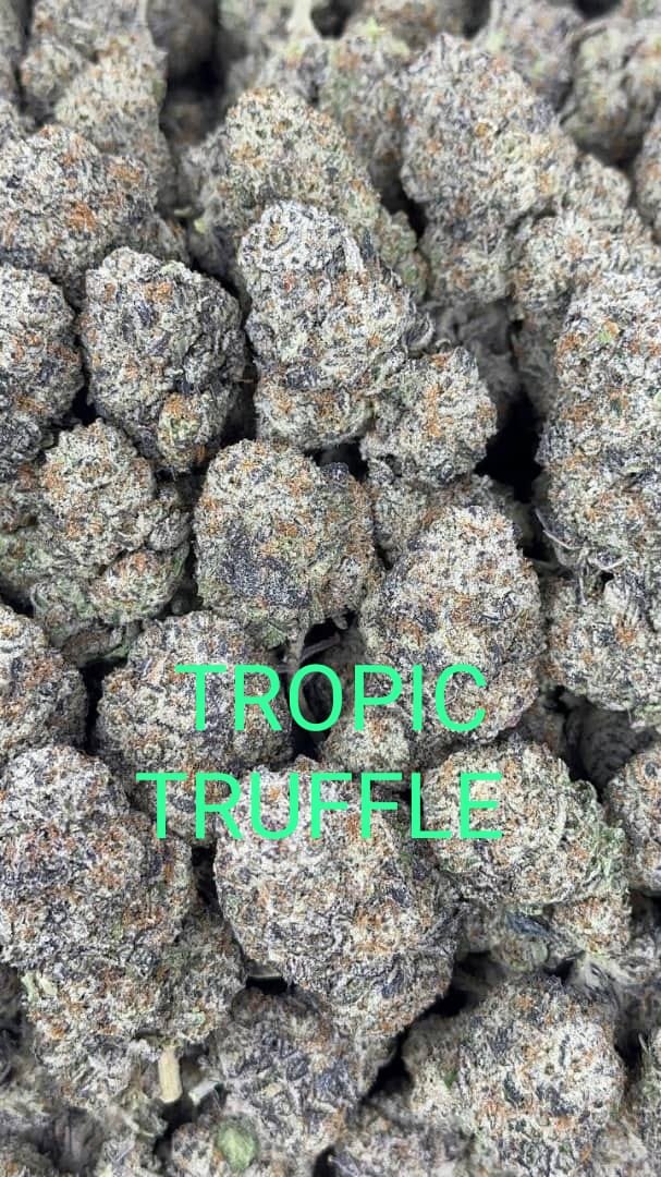 black truffle strain for sale deutschland