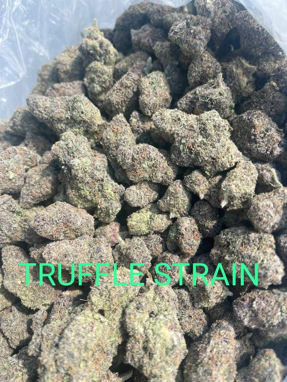 black truffle strain for sale deutschland