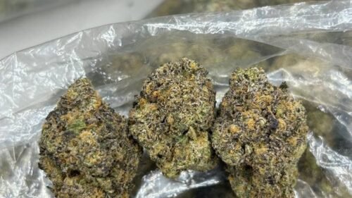 import placeholder for 16332 import placeholder for 16332