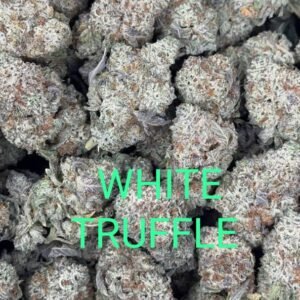 black truffle strain for sale deutschland