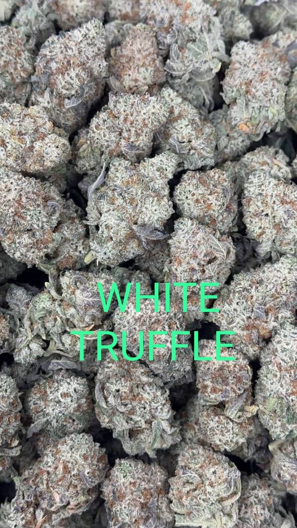 black truffle strain for sale deutschland