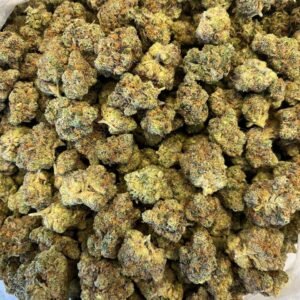 import placeholder for 16249