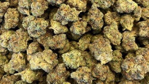 import placeholder for 16249 import placeholder for 16249